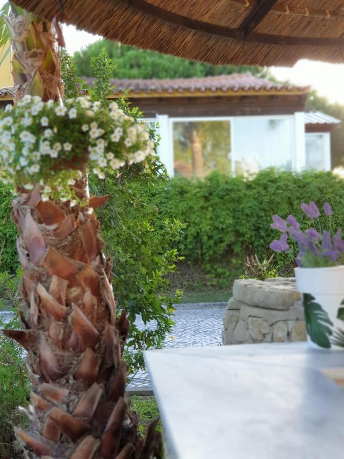 Quinta Lagus Resort - Casa De Campo Palmela Exteriör bild